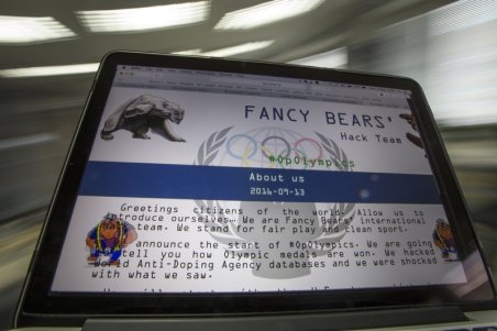 FANCY-BEAR-----800